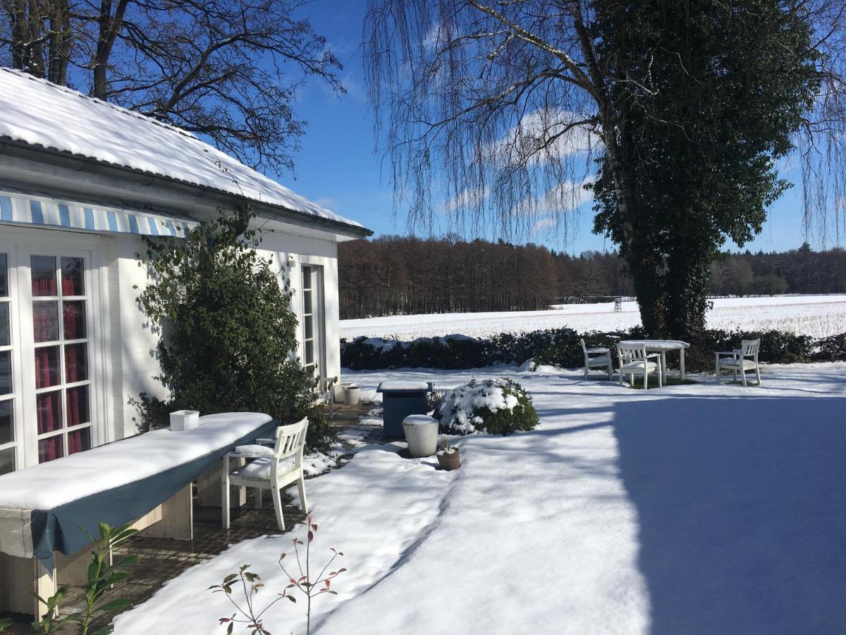 Budget-Unterkunft Im Wunderschonen Haus Mit Herrlichem Panoramablick Lüneburg Eksteriør bilde