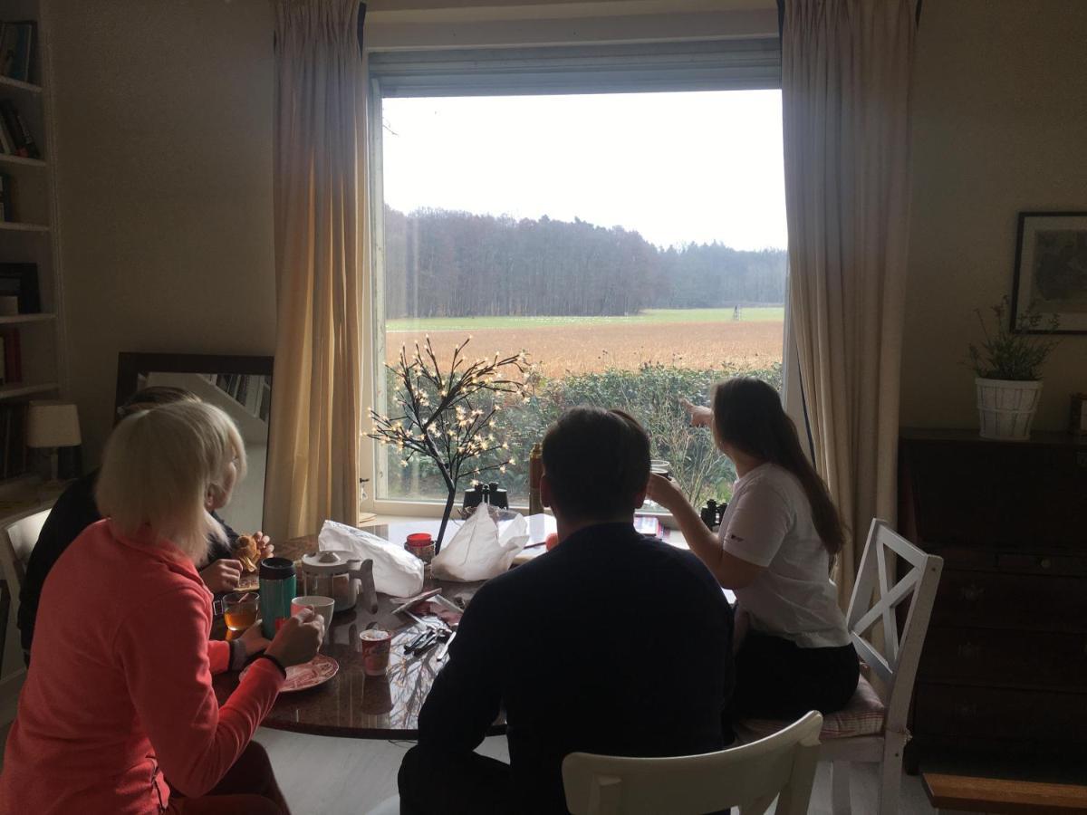 Budget-Unterkunft Im Wunderschonen Haus Mit Herrlichem Panoramablick Lüneburg Eksteriør bilde